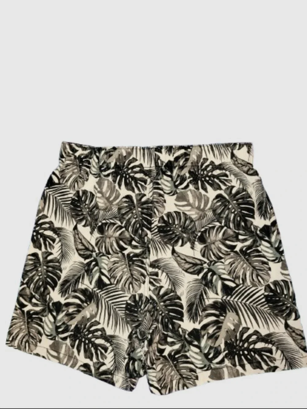 American Eagle Outfitters brand american